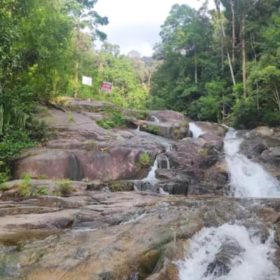 Taman Negara Johor Gunung Ledang